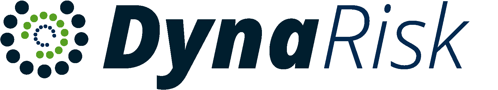 DynaRisk